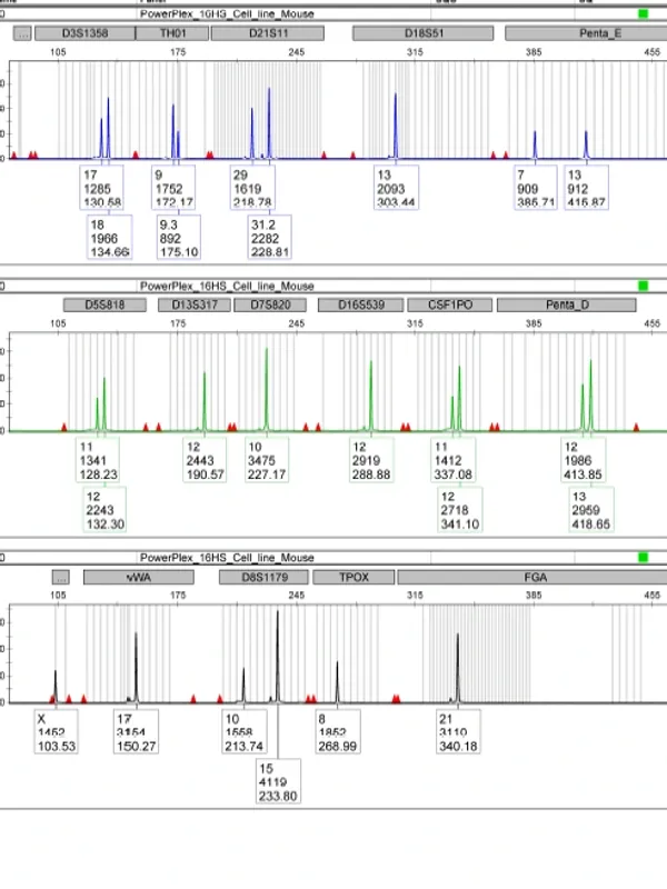 STR DNA Profiling for Human Cell Line Authentication